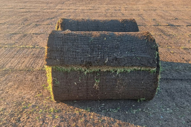 billabong turf NSW commercial turf projects
