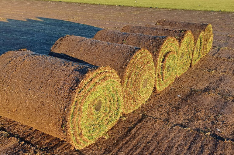 billabong turf NSW commercial turf projects