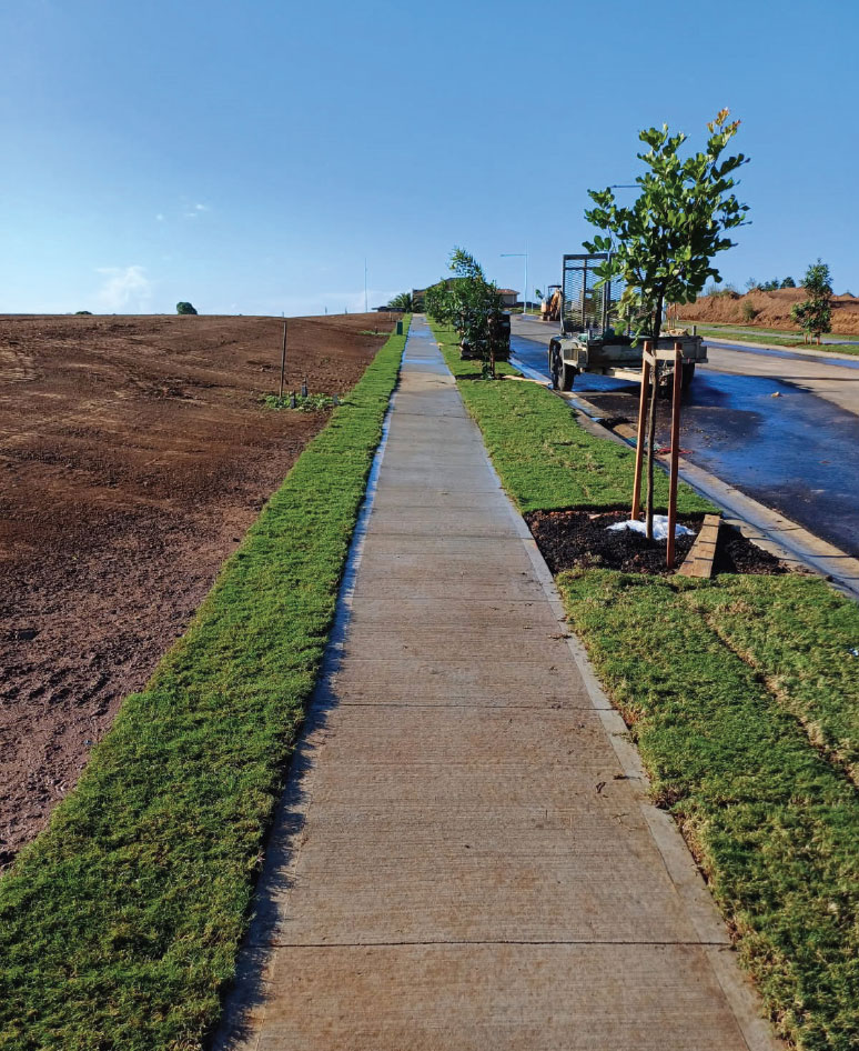 billabong turf NSW commercial turf projects