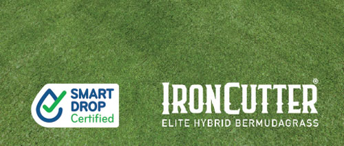 IronCutter Elite Bermuda Grass - Billabong Turf Australia