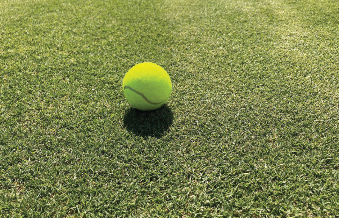 santa-ana-turf-Billabong-turf-NSW-1 santa ana couch turf at Billabong Turf NSW